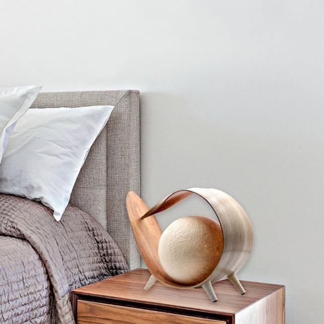 Natural Coconut Lamp
