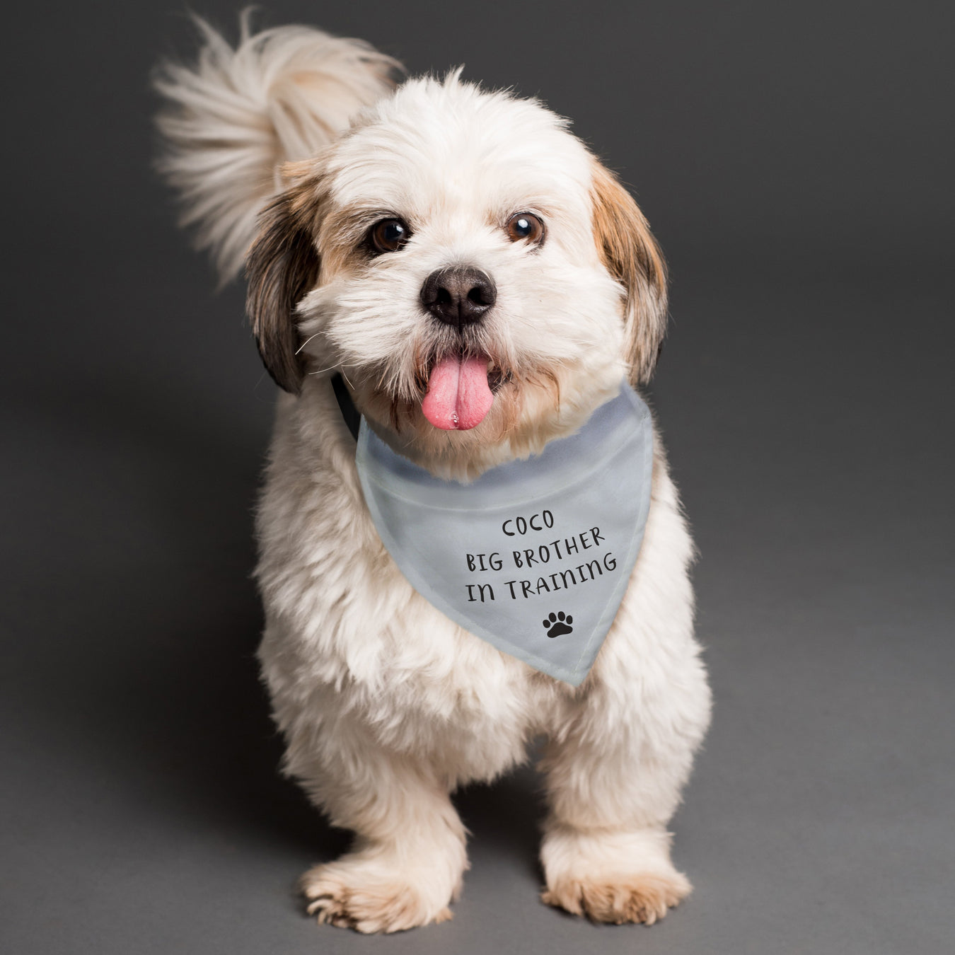 Personalised Dog Bandanas UK