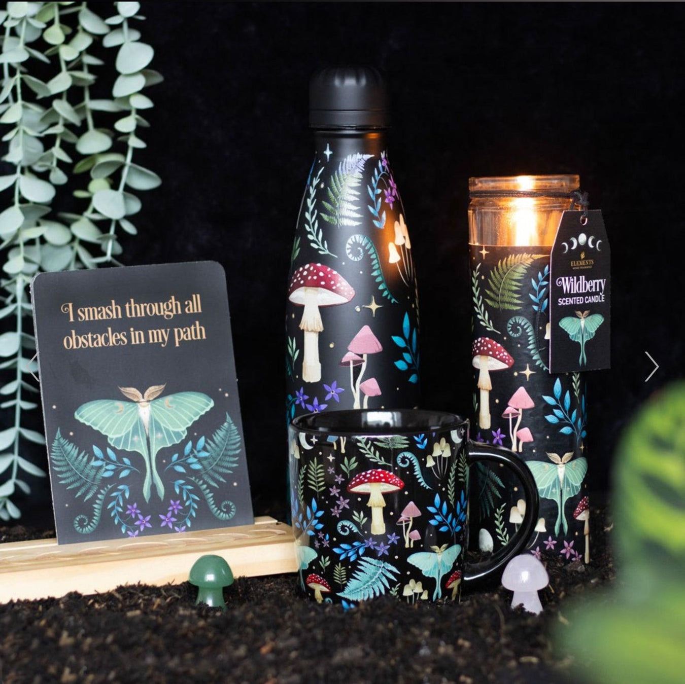Dark Forest Collection