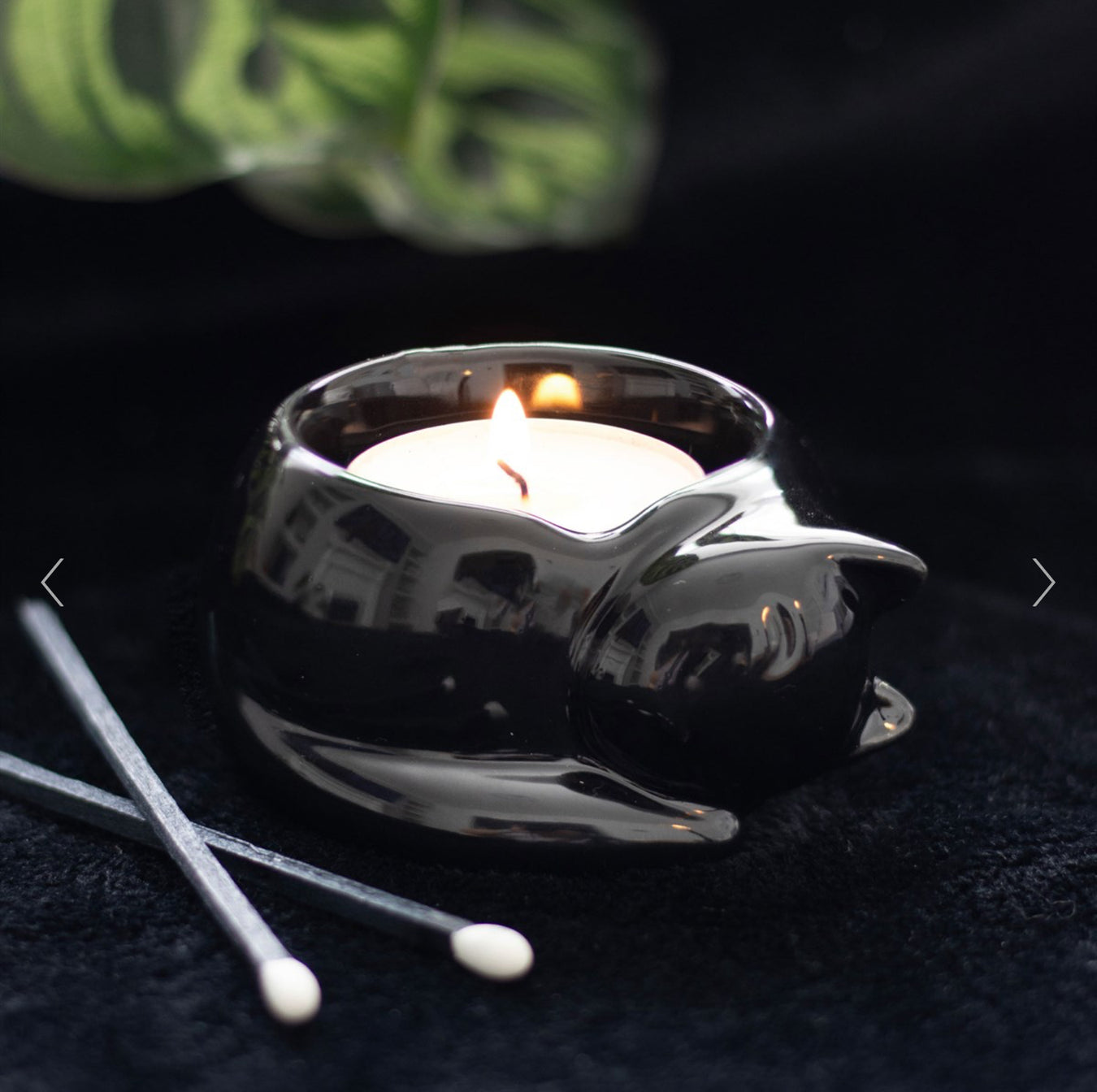 Gothic Cat Themed Gifts & Homeware
