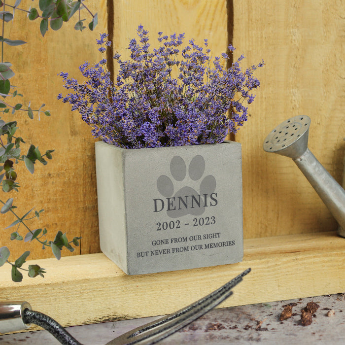 Personalised Pet Paw Print Concrete Pot, Dog Memorial, Cat Memorial