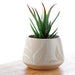 Florens Hesperantha Cream Glaze Relief Indoor Planter/Small Plant Pot