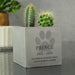 Personalised Pet Paw Print Concrete Pot, Dog Memorial, Cat Memorial