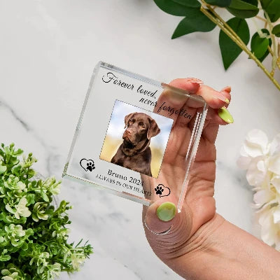 Bespoke Dog Memorial Glass Photo Gift - Always In Our Hearts
