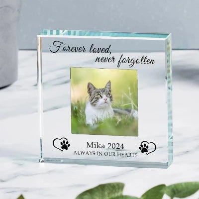 Bespoke Cat Memorial Glass Photo Gift - Always In Our Hearts
