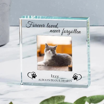 Bespoke Cat Memorial Glass Photo Gift - Always In Our Hearts