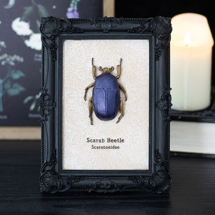 Gothic Homeware Scarab Beetle Framed Wall Art Print