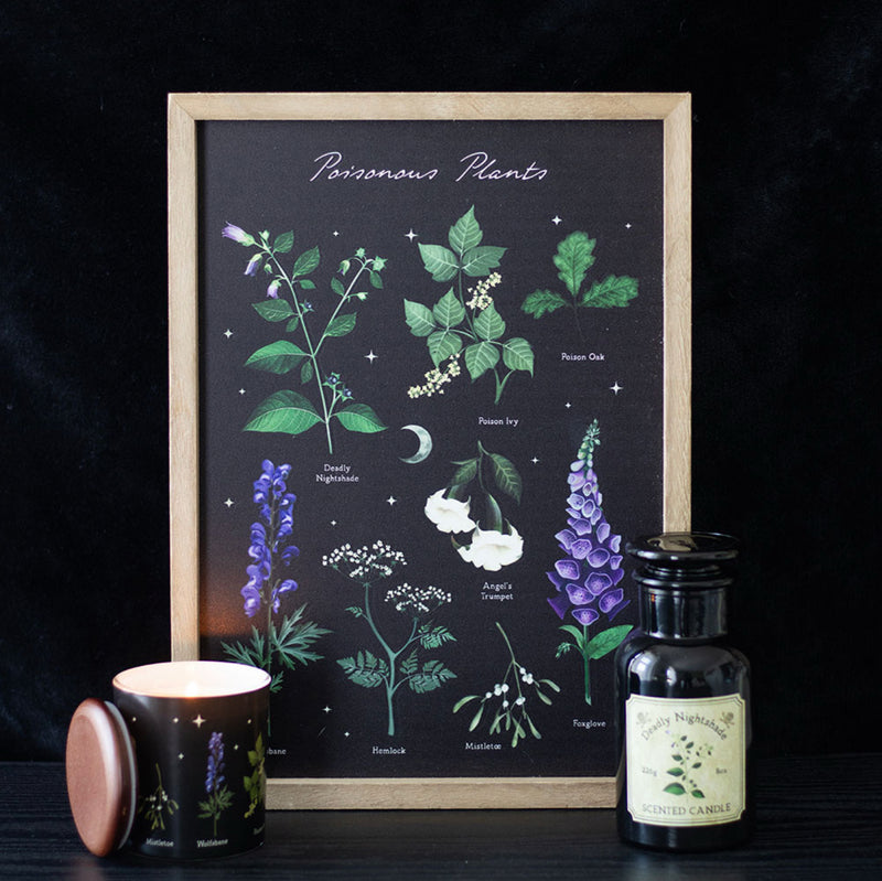 Gothic Homeware Poisonous Plants Framed Wall Art Print