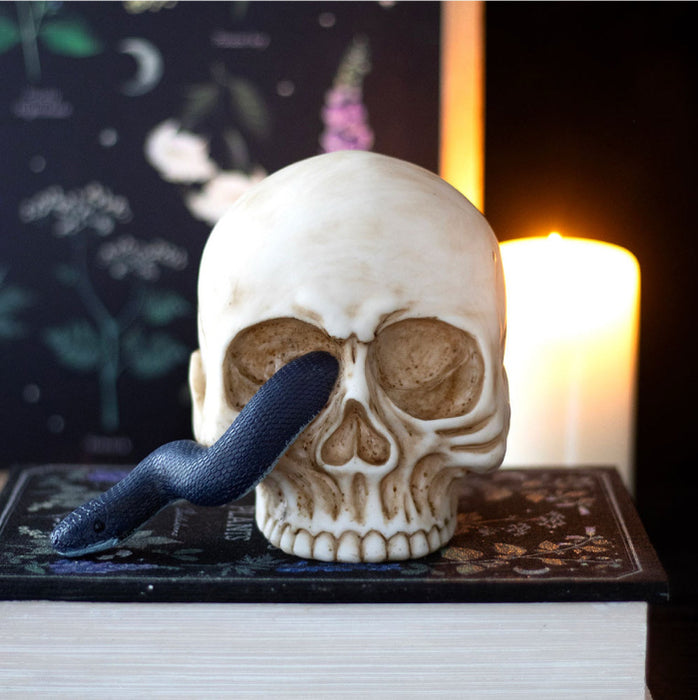 Gothic Homeware Skull Ornament with Snake