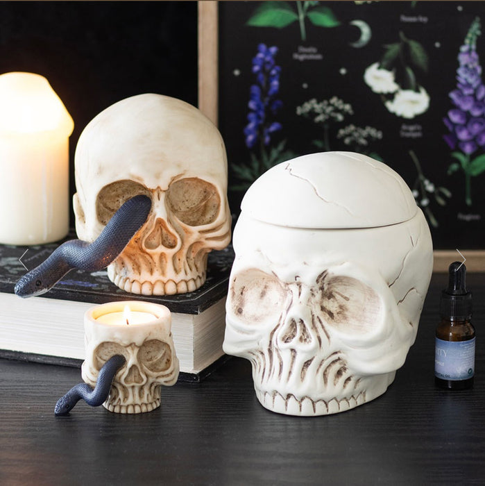 Gothic Homeware Skull Ornament with Snake