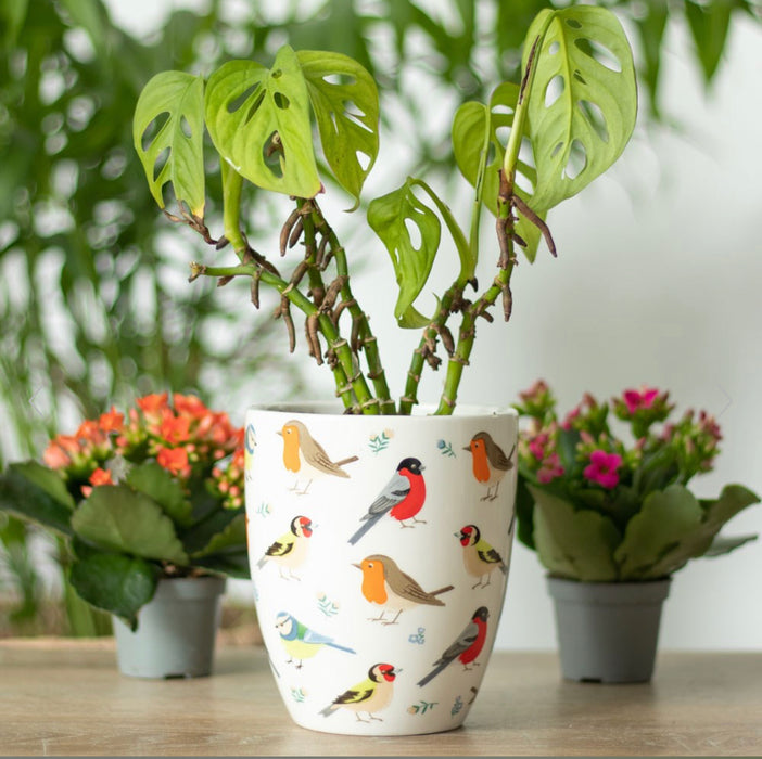 British Garden Birds Ceramic Plant Pot