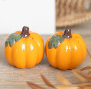 Autumn Pumpkin Salt and Pepper Shakers - Home Decor