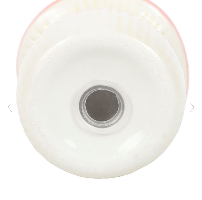 Pink Mushroom Salt and Pepper Shakers Set