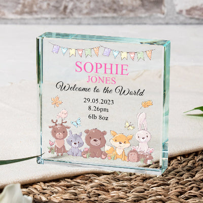 Welcome to the World New Baby Glass Block Gift - Pink or Blue
