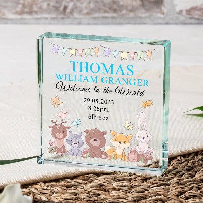 Welcome to the World New Baby Gift Plaque - Pink or Blue