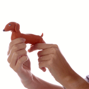 Squeezy Stretchy Dachshund Dog Toy