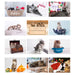 Personalised A4 Cats & Kittens Calendar 2024