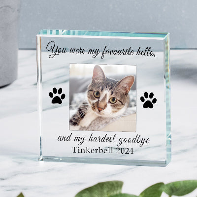 Bespoke Cat Memorial Glass Photo Gift - Favourite Hello Hardest Goodbye