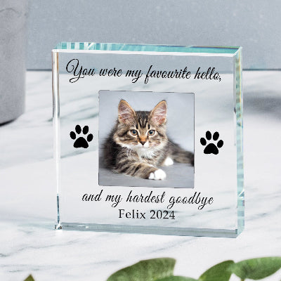 Bespoke Cat Memorial Glass Photo Gift - Favourite Hello Hardest Goodbye