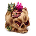 Elements Baby Dragon LED Crystal Skull Ornament 