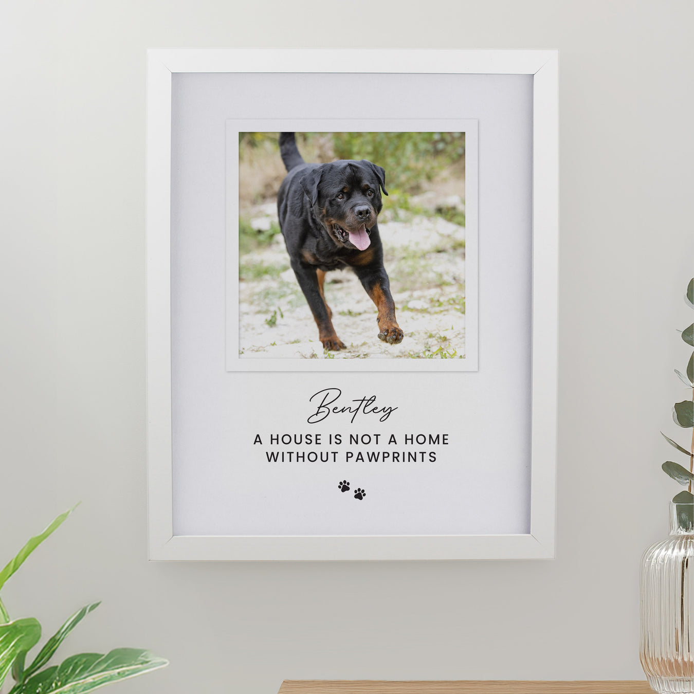 Gifts For Pet Lovers