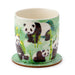 Panda Porcelain Mug & Coaster Set