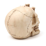 Gruesome Skull Head with Skeleton Claw Hand Ornament