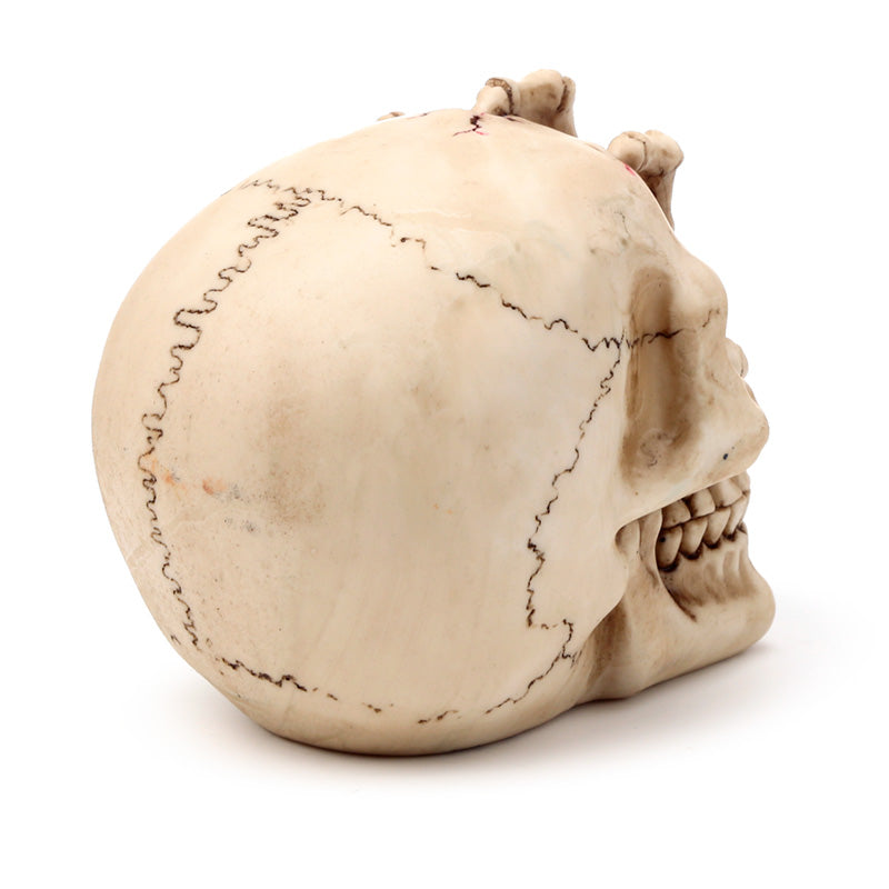 Gruesome Skull Head with Skeleton Claw Hand Ornament