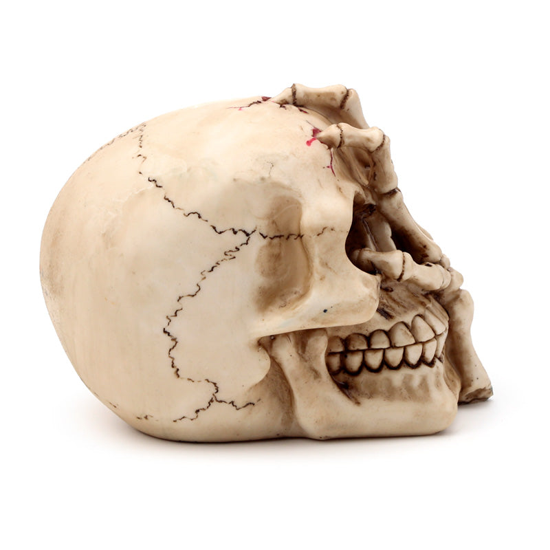 Gruesome Skull Head with Skeleton Claw Hand Ornament