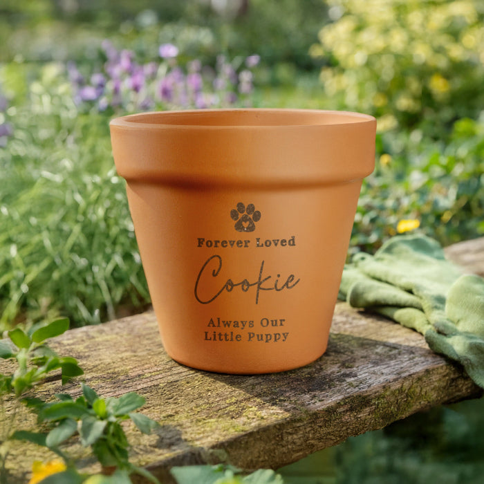 Engraved Pet Memorial Terracotta Plant Pot