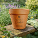 Engraved Pet Memorial Terracotta Plant Pot