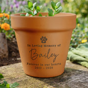 Engraved Pet Memorial Terracotta Plant Pot