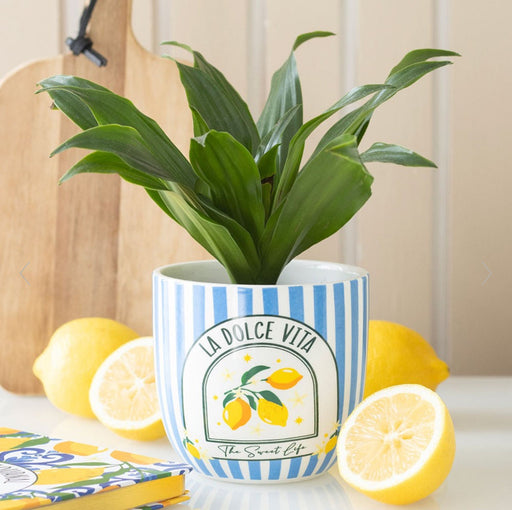 Blue Striped La Dolce Vita Plant Pot | Mediterranean-inspired Decor