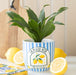 Blue Striped La Dolce Vita Plant Pot | Mediterranean-inspired Decor