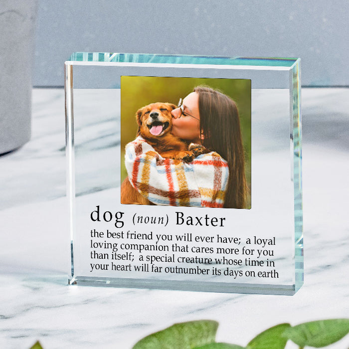 Definition Of A Dog Photo Gift Plaque