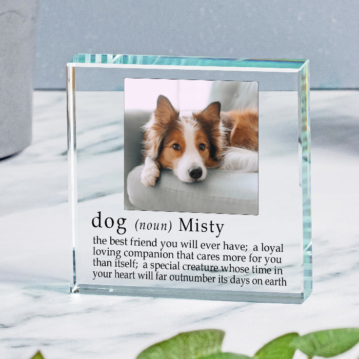 Definition Of A Dog Photo Gift Plaque