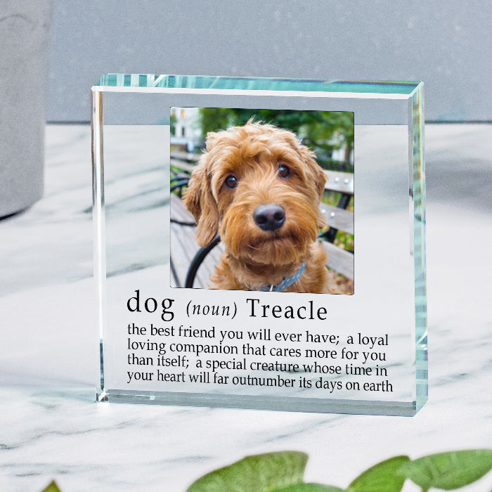 Definition Of A Dog Photo Gift Plaque