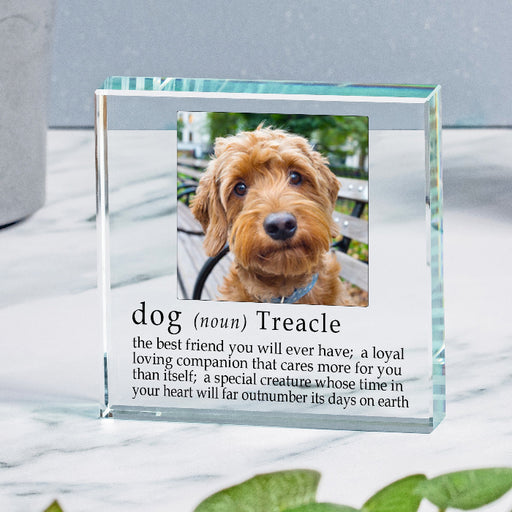 Definition Of A Dog Photo Gift Plaque