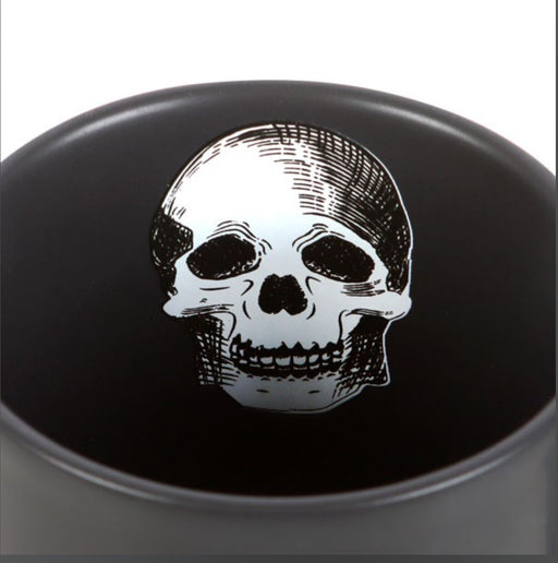 Drink At Your Own Risk Skull Mug