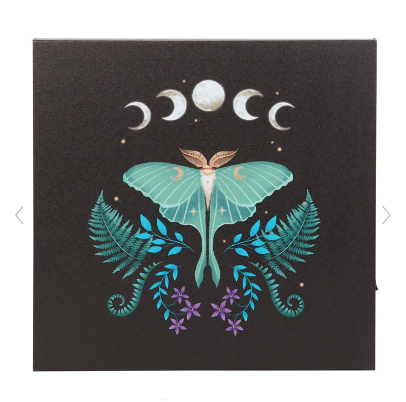 Luna Moth Light Up Canvas Plaque