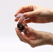 Hidden Tiger Eye Gem Bracelet Bath Bomb