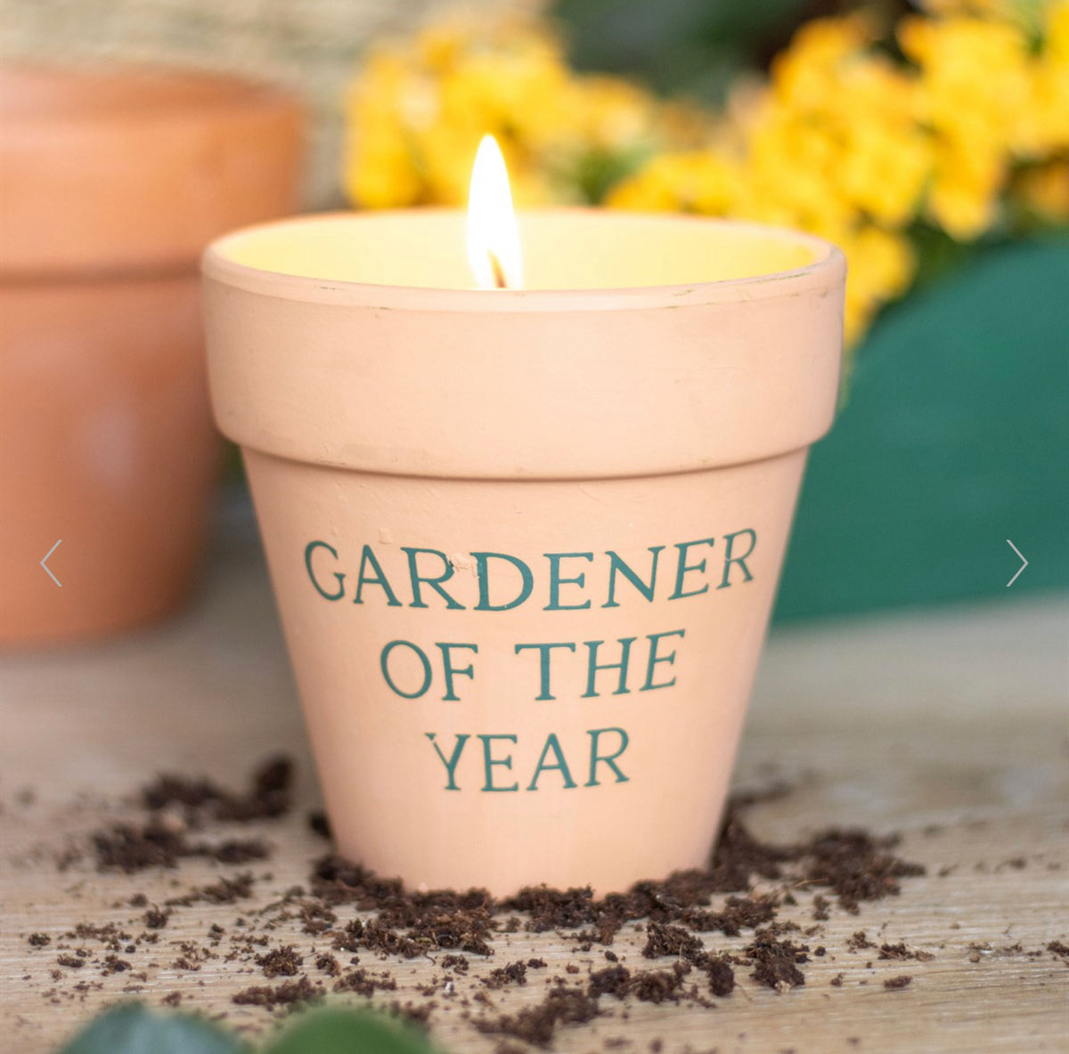 Gardener of the Year Citronella Candle — My Happy Moments