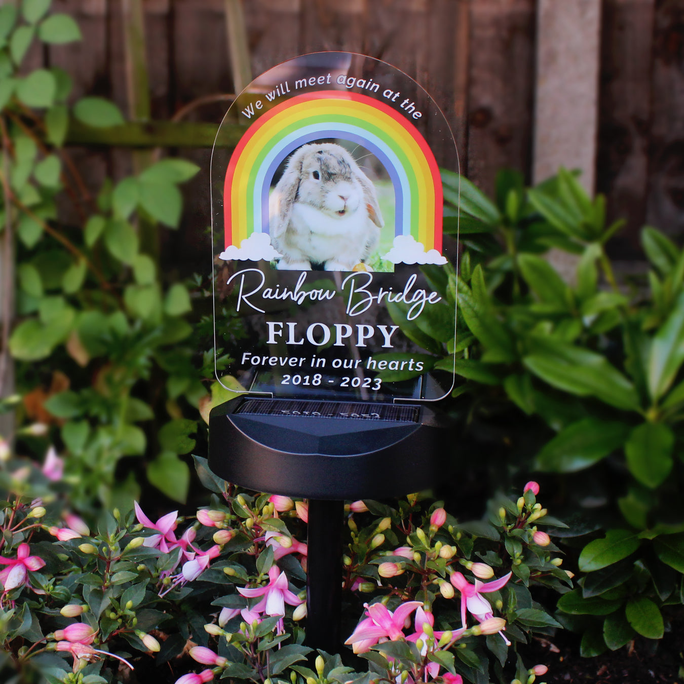 Memorial Solar Lights