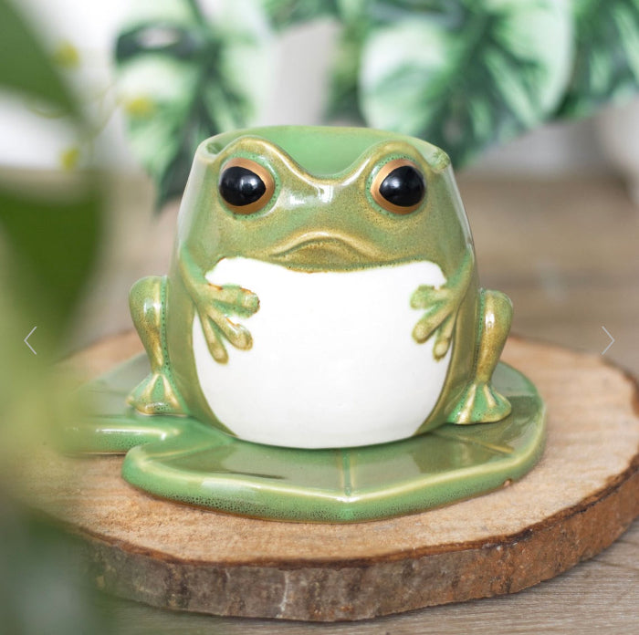 Frog Themed Gifts