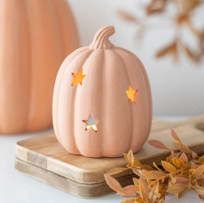 Autumn Decor 9cm Terracotta Pumpkin Tealight Holder