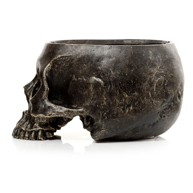 Skull Shaped Planter