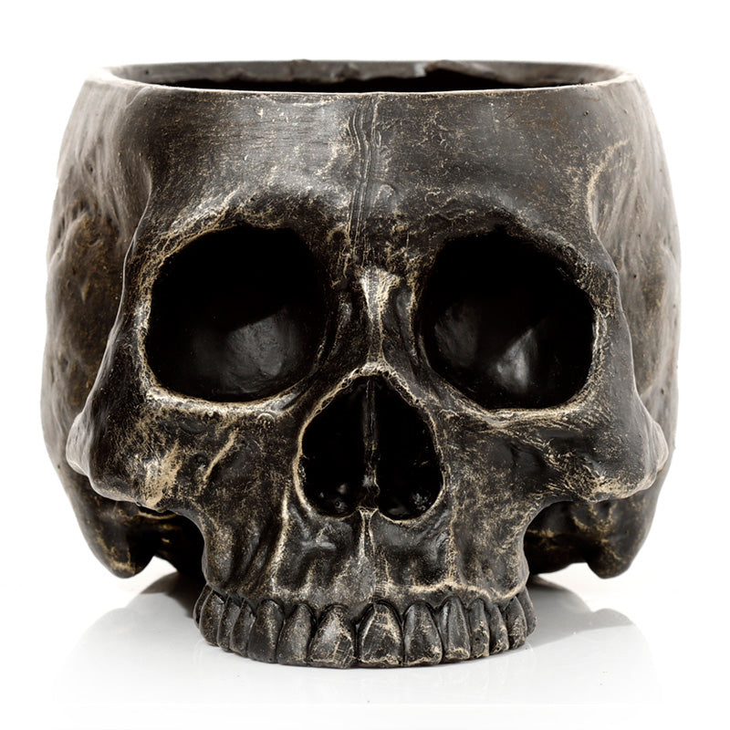 Skull Shaped Planter