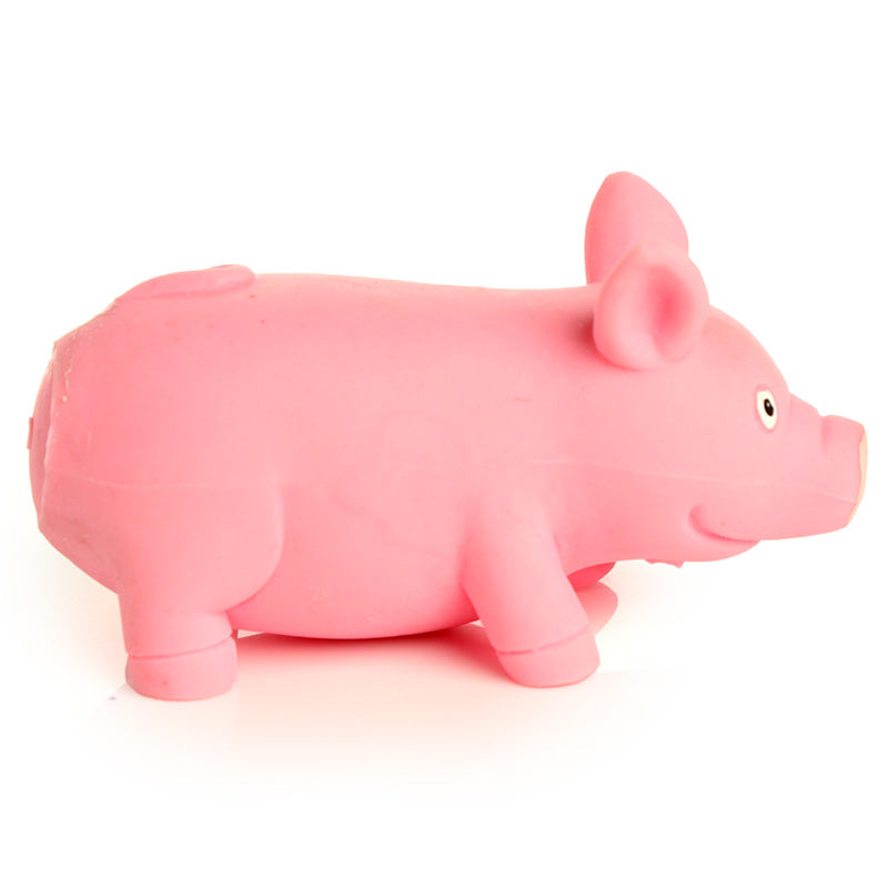 Squeezy Stretchy Pig Toy