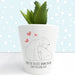 Personalised The Best Mama Bear Mini Plant Pot - Myhappymoments.co.uk