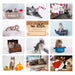 Personalised Cats and Kittens Desk Calendar 2021